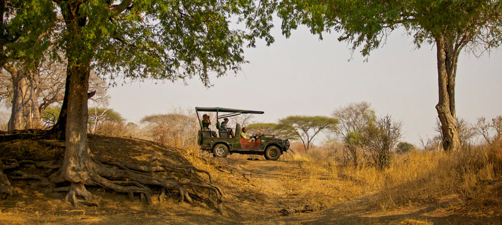 Safari in Sdtanzania - Reise in Afrika