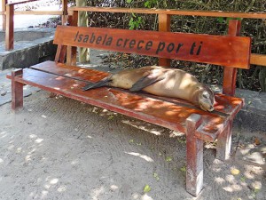 Trekkingtouren auf Galapagos 