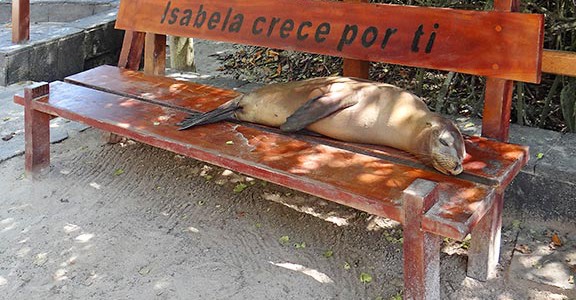 Trekkingtouren auf Galapagos