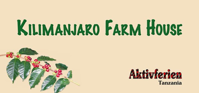 Im Kilimanjaro Farm House wird gepflanzt