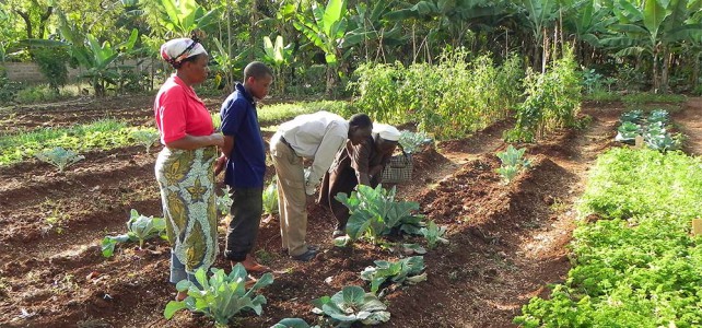 Besuch im Kilimanjaro Farmhouse