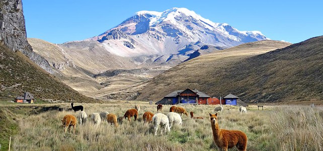 Der letzte Eisverkäufer am Chimborazo