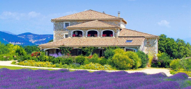 Lavendel die schönste Farbe des Sommers