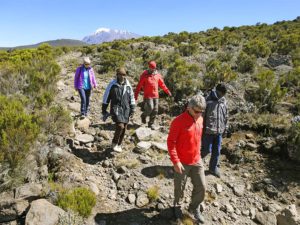 Kilimanjaro-Besteigung