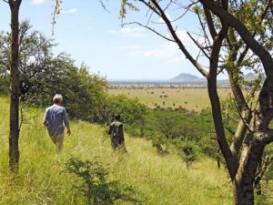 Safari in Tanzania