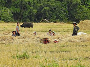 Myanmar Trekking