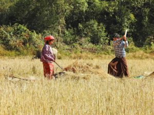 Myanmar Trekking