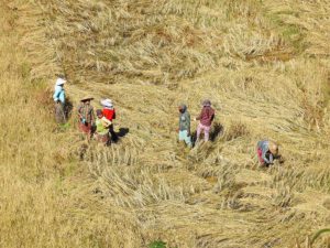 Myanmar Trekking