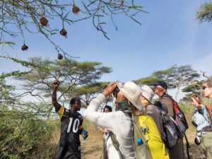 Tanzania Naturreise in Afrika