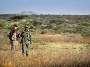 Safari in Tanzania