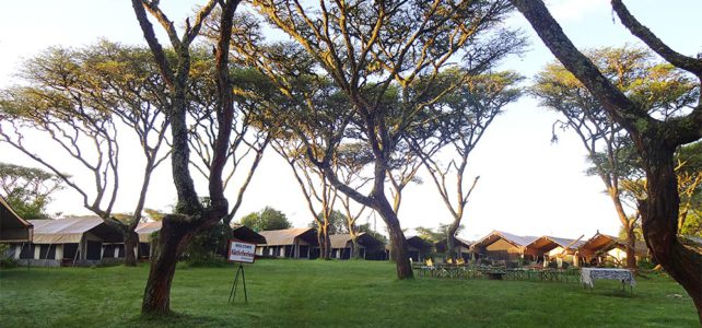 10 Jahre Ngorongoro Camp