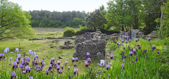 Le ruines de Monastier