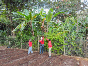 Kilimanjaro Marangu