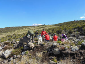 Kilimanjaro Horombo