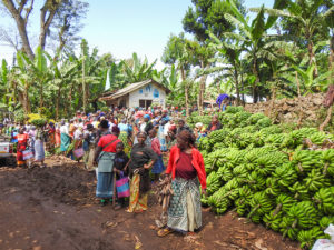 Kilimanjaro Marangu