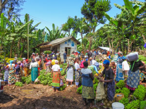 Kilimanjaro Marangu