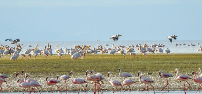 Lake Manyara