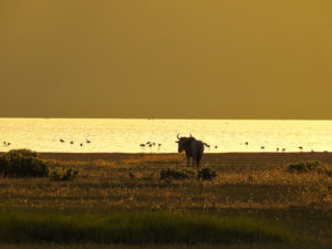 Lake Manyara