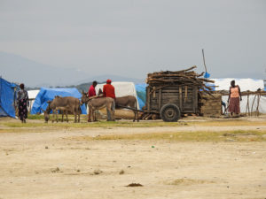 Lake Manyara