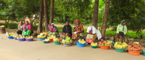 Kilimanjaro Marangu