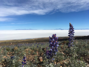 Bolivien Trekking