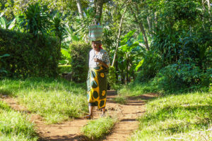 Kilimanjaro Marangu