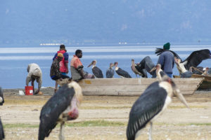 Lake Manyara