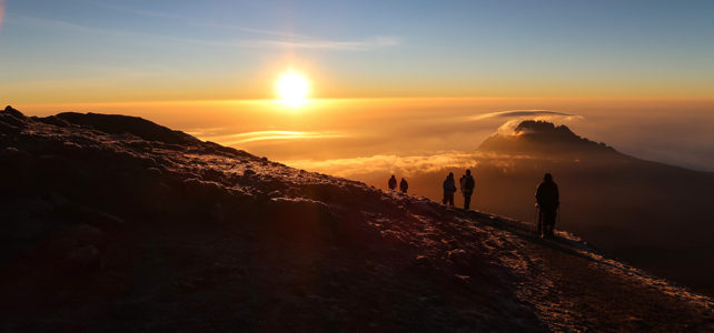 Kilimanjaro-Besteigung – Reisebericht von Beni Büchi