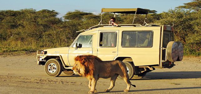 Fuss-Safari in der Serengeti, Tanzania Fuss-Safari in der Serengeti, Tanzania