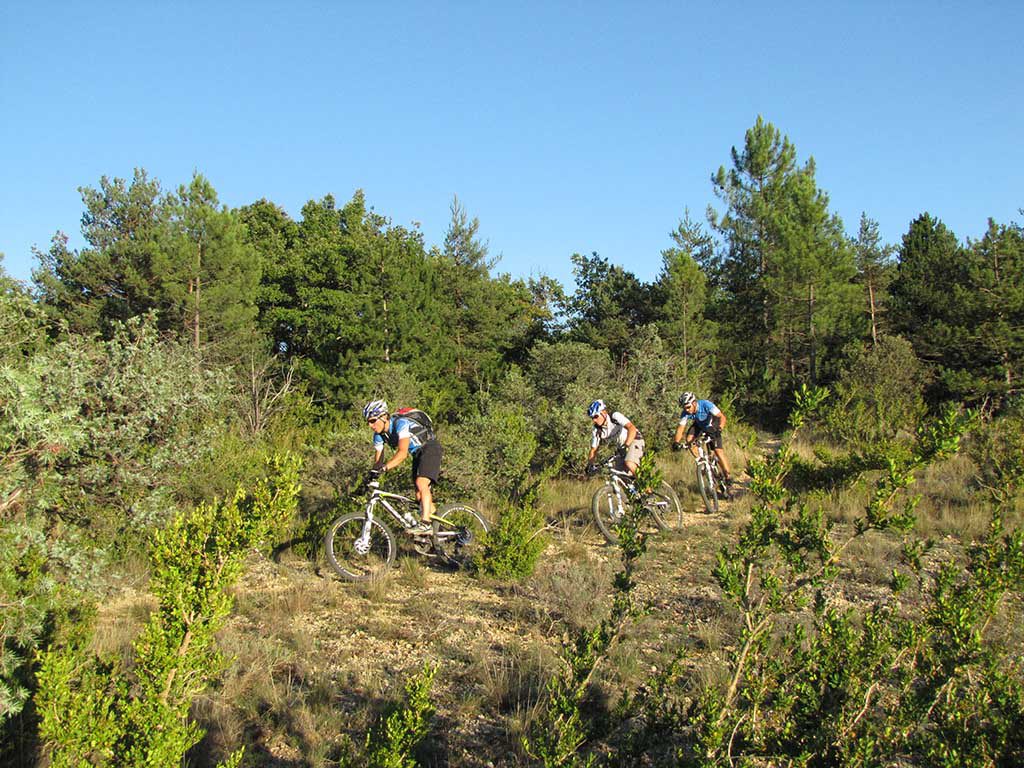 Samstagstrail