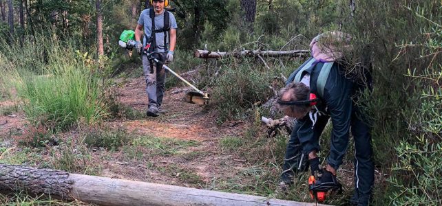 Trailbauwoche zum Saisonbeginn