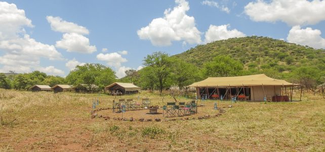 Neues Serengeti Aktivferien Camp eröffnet – Fuss-Safari in Tansania