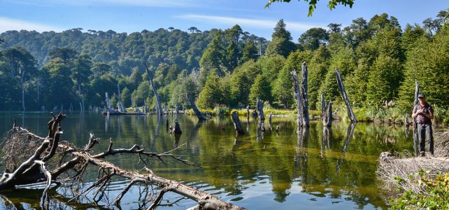 Reisebericht von Patagonien