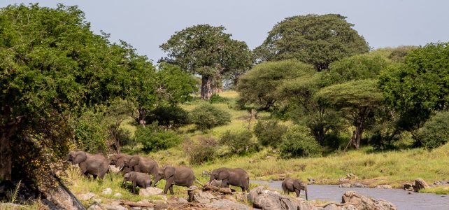 Zweite Tanzania Reise von Nadège Gillioz