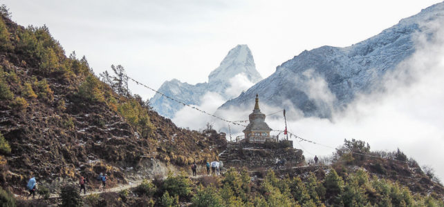 Zurück im geliebten Nepal