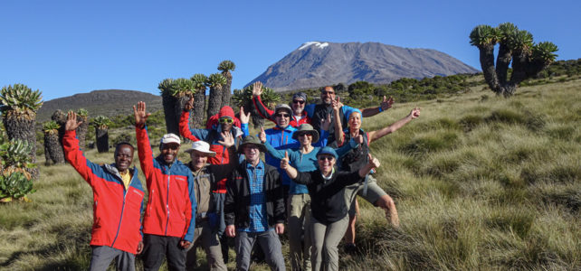 «Gömmer Kilimanjaro»