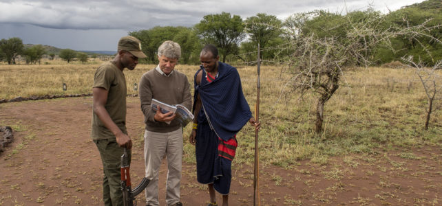 Besuch am Kilimanjaro und in den Aktivferien Camps der Serengeti.