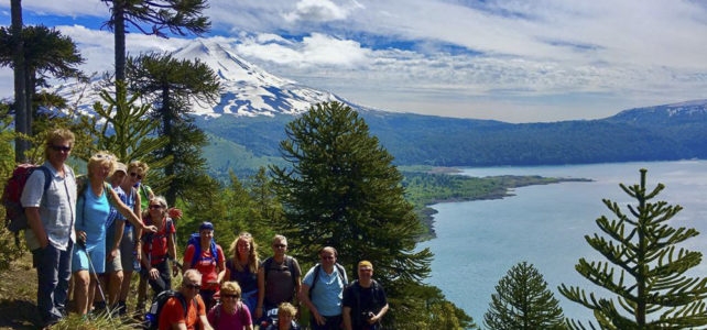 Reisebericht Live von Patagonien