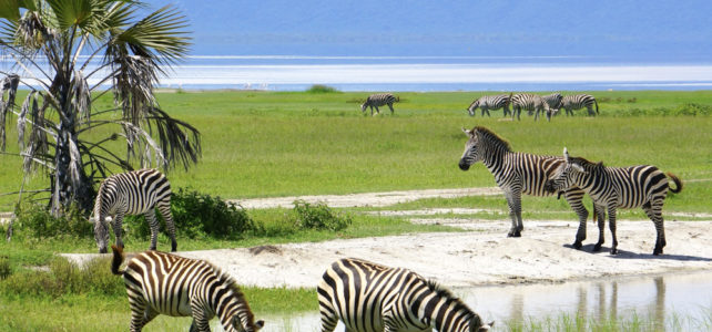 Unterwegs auf der Tanzania Naturreise