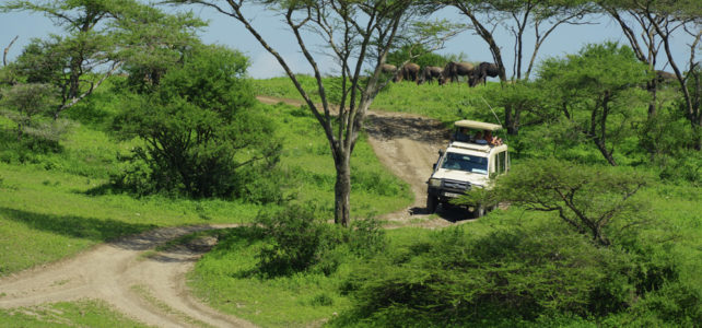 Reisebericht Tansania Naturreise 21.12.2019 – 6.1.2020