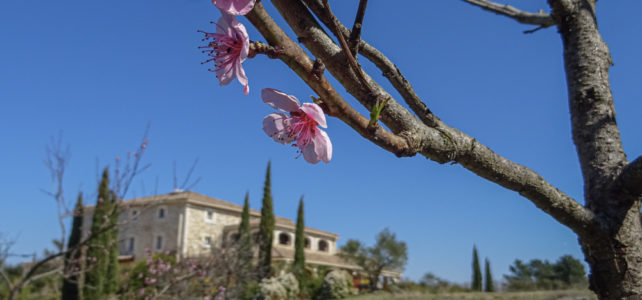 Frühling in der Ardèche