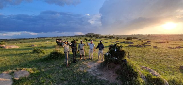 Die grösste Tierwanderung der Welt – live aus der Serengeti