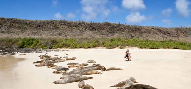 Galapagos – eines der letzten Naturparadiese