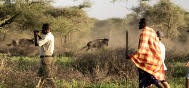 Serengeti – ein Naturparadies für sich