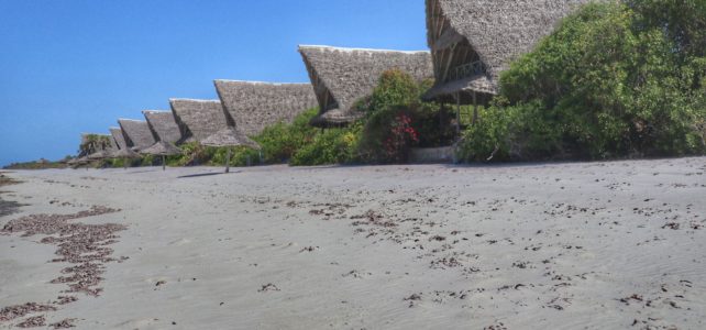 Naturreise Südtansania 7 / Lazy Lagoon, Bagamoyo und die kleine Regenzeit kommt