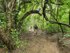 Udzungwa Nationalpark