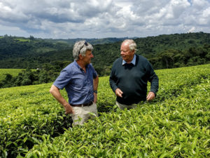 Hansruedi Büchi und Geofrey Fox auf der Teeplantage