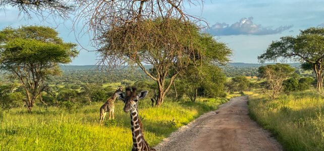 Eine Reise durch eine vielfältige Natur