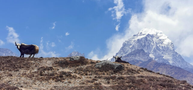 Im Frühling auf dem Everest Komfort Trekking
