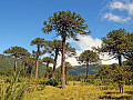 Patagonien Trekking